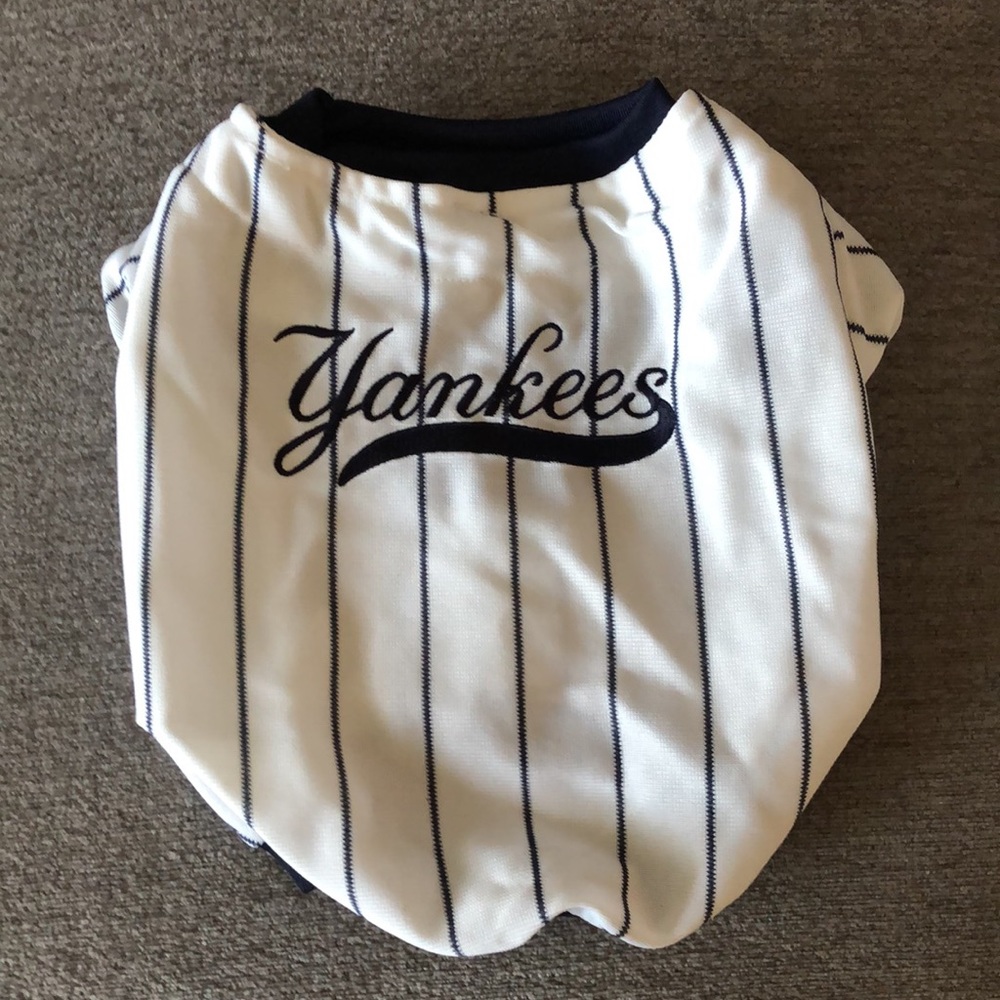 Yankees jersey for small pups